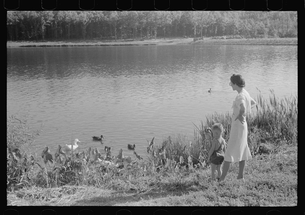 [Untitled photo, possibly related to: The lake at Greenbelt, Maryland]. Sourced from the Library of Congress.