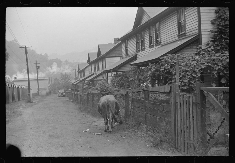 Company houses, coal mining town, Caples, West Virginia. Sourced from the Library of Congress.