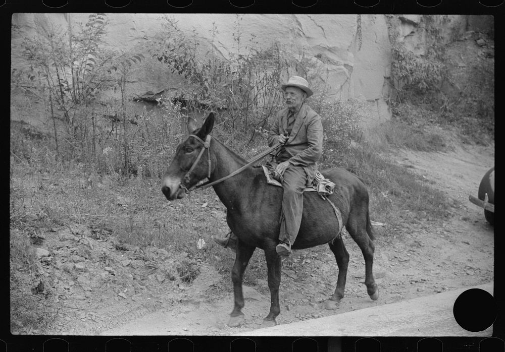 [Untitled photo, possibly related to: Old miner on donkey, still quite a common means of transportation, in county road near…