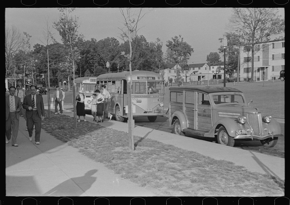 Busses at Greenbelt, Maryland. Sourced from the Library of Congress.
