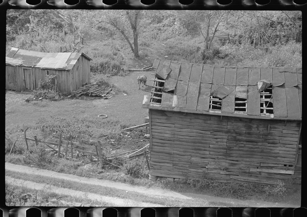 Section of farm on main highway between Morgantown and Elkins, West Virginia. Sourced from the Library of Congress.