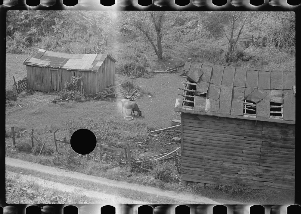 [Untitled photo, possibly related to: Section of farm on main highway between Morgantown and Elkins, West Virginia]. Sourced…