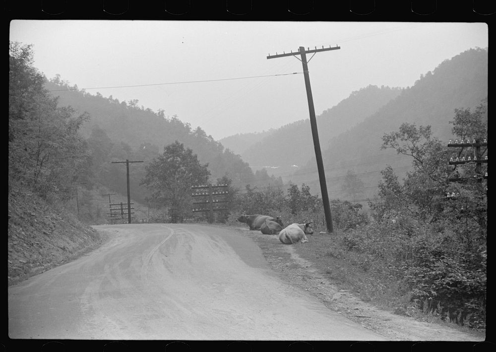Main county road in coal mining section near Mohegan, West Virginia. Sourced from the Library of Congress.