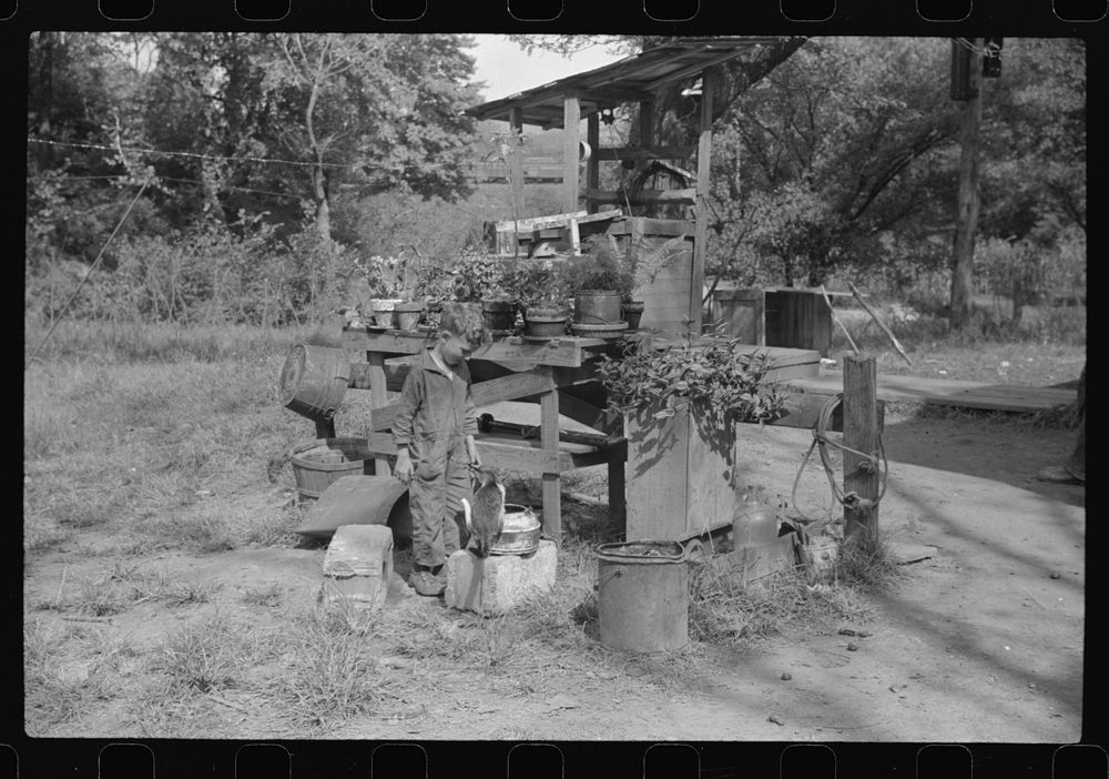 [Untitled photo, possibly related to: Flower garden in front yard of WPA (Works Progress Administration) worker's home…