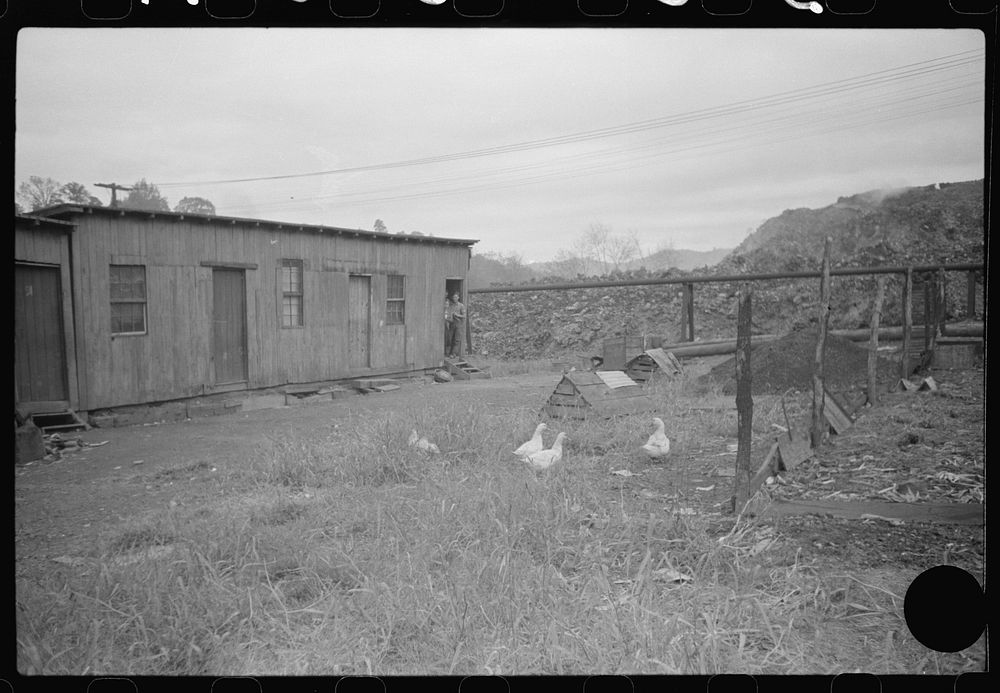 [Untitled photo, possibly related to: Section of Rosedale Mining Compnay. Shanties by the river. Scotts Run, West Virginia].…