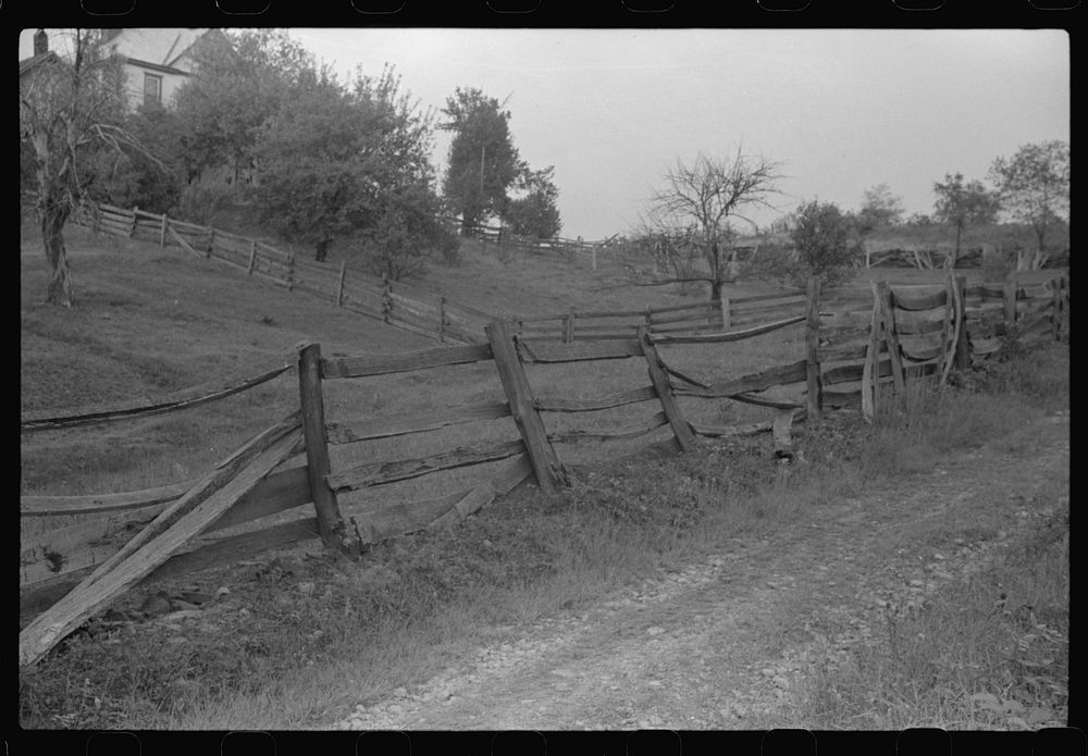 Old fences around farm in coal mining section near Scott's Run, West Virginia. Sourced from the Library of Congress.