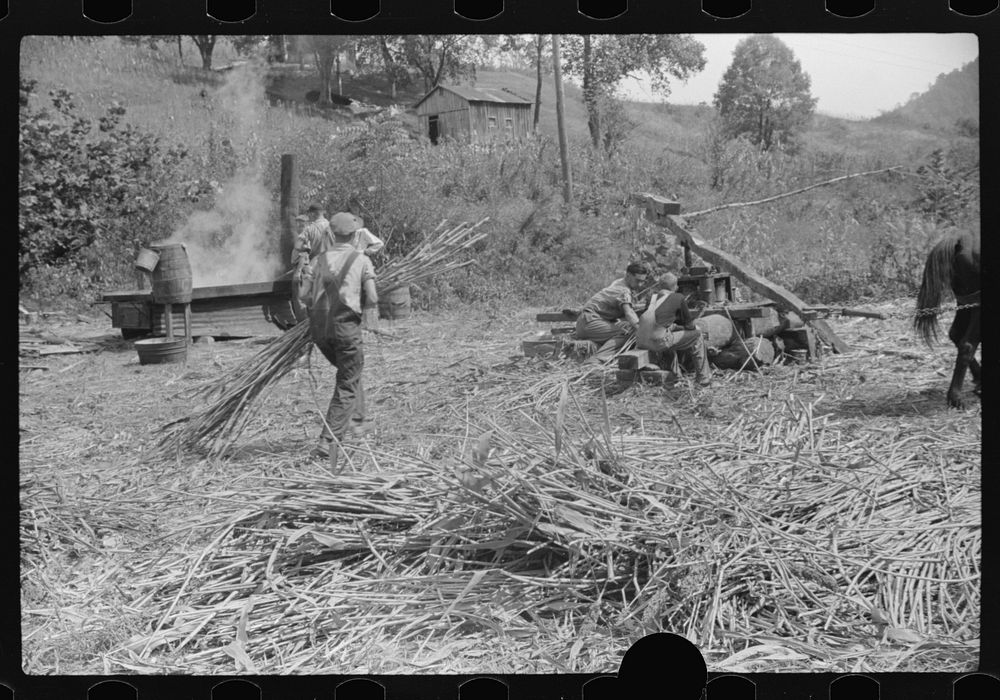 [Untitled photo, possibly related to: At right, pressing juice from sugarcane. At left boiling it into sorghum molasses.…