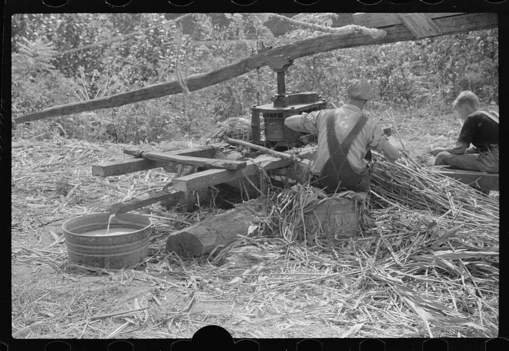 [Untitled photo, possibly related to: Boiling juice of sugarcane into sorghum molasses. Racine, West Virginia]. Sourced from…