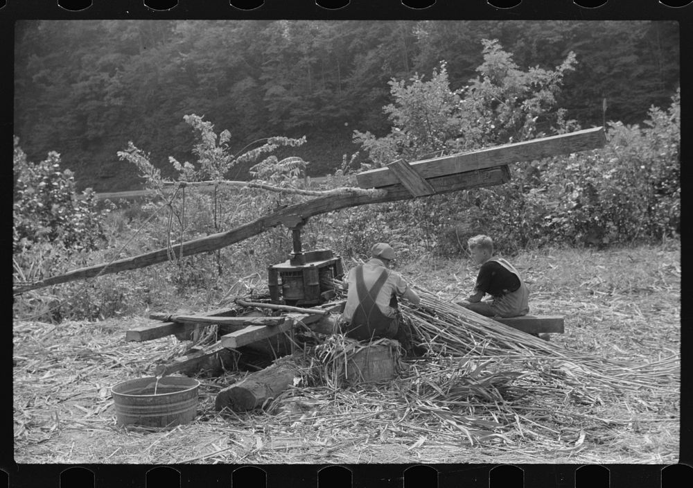 [Untitled photo, possibly related to: Pressing juice from sugarcane to make sorghum molasses, Racine, West Virginia].…