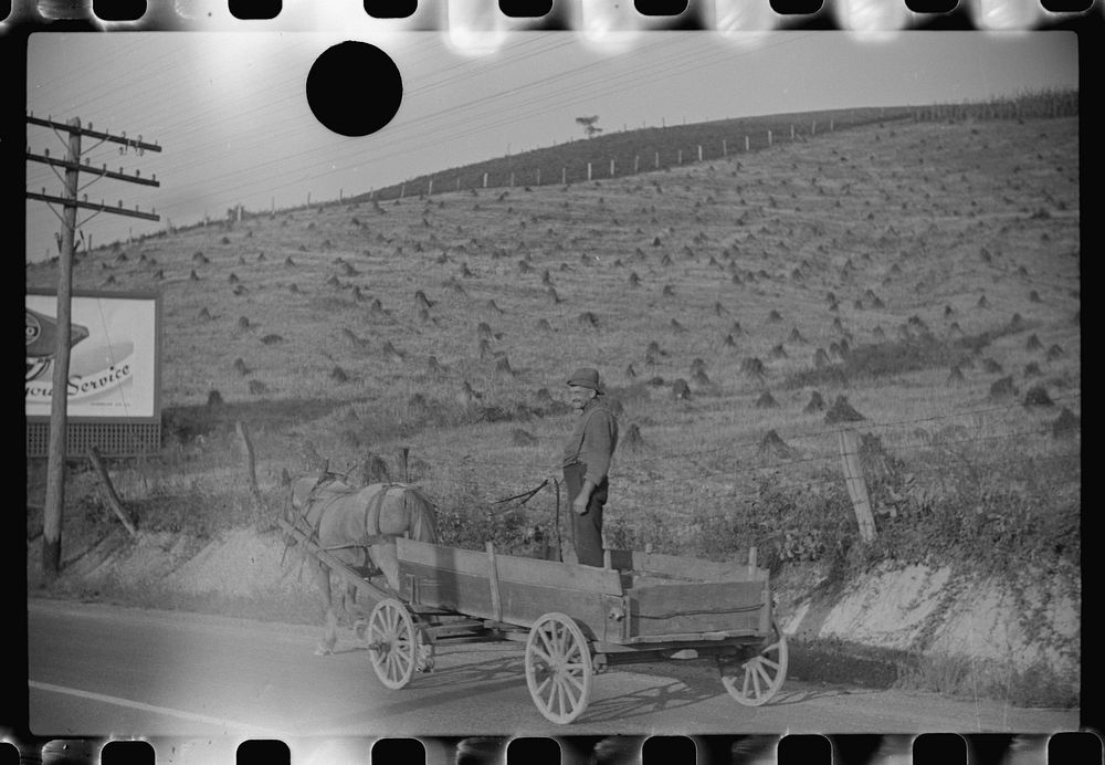 [Untitled photo, possibly related to: Farmer going to town along the highway near Elkins, West Virginia]. Sourced from the…