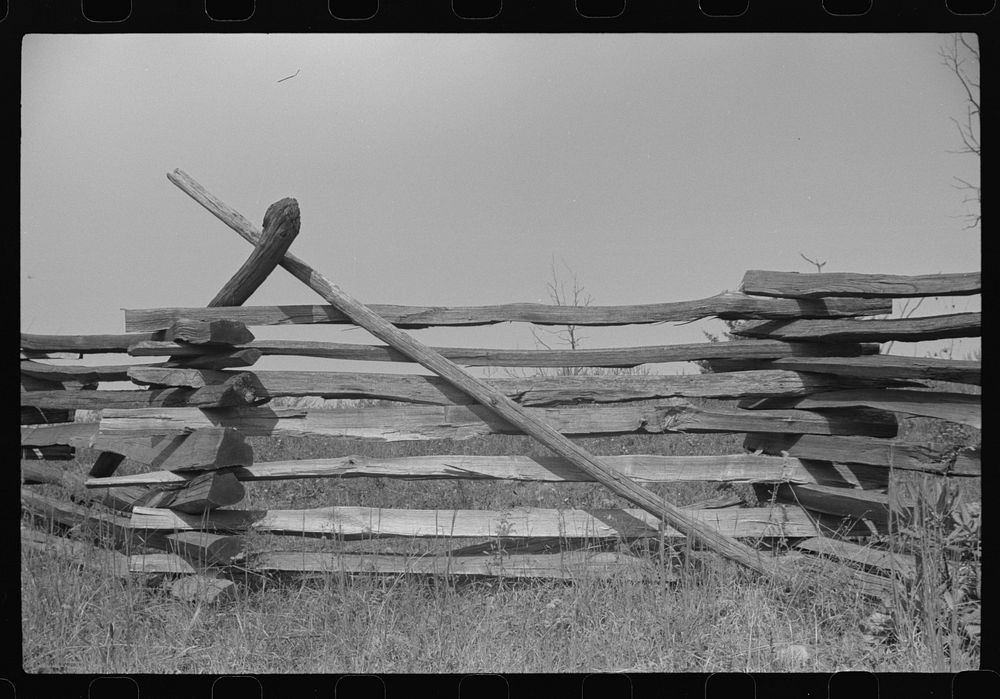 [Untitled photo, possibly related to: Typical rail (snake) fence, West Virginia]. Sourced from the Library of Congress.