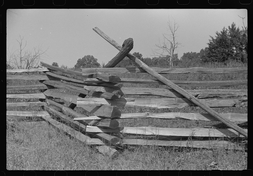 Typical rail (snake) fence, West Virginia. Sourced from the Library of Congress.