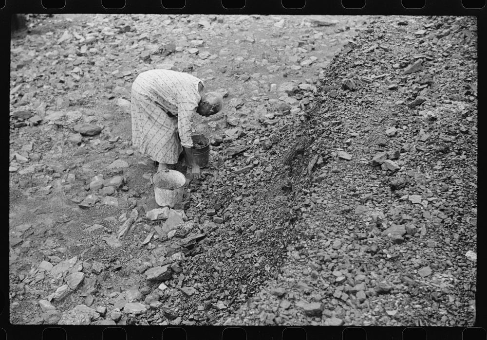 [Untitled photo, possibly related to: Woman picking up coal from old slate heaps in mining community. The "Patch,"…