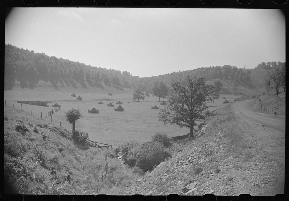 Farm and grazing land between Morgantown and Elkins, West Virginia. Sourced from the Library of Congress.