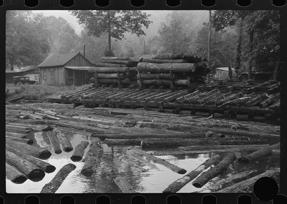[Untitled photo, possibly related to: Logs for sawmill, Erwin, West Virginia]. Sourced from the Library of Congress.