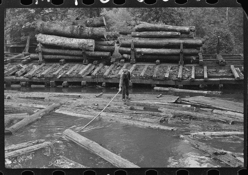 [Untitled photo, possibly related to: Pushing the logs toward the sawmill, Erwin, West Virginia]. Sourced from the Library…