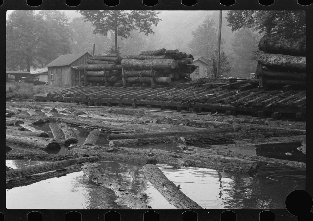 [Untitled photo, possibly related to Free Photo rawpixel