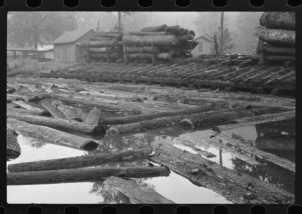 [Untitled photo, possibly related to Free Photo rawpixel