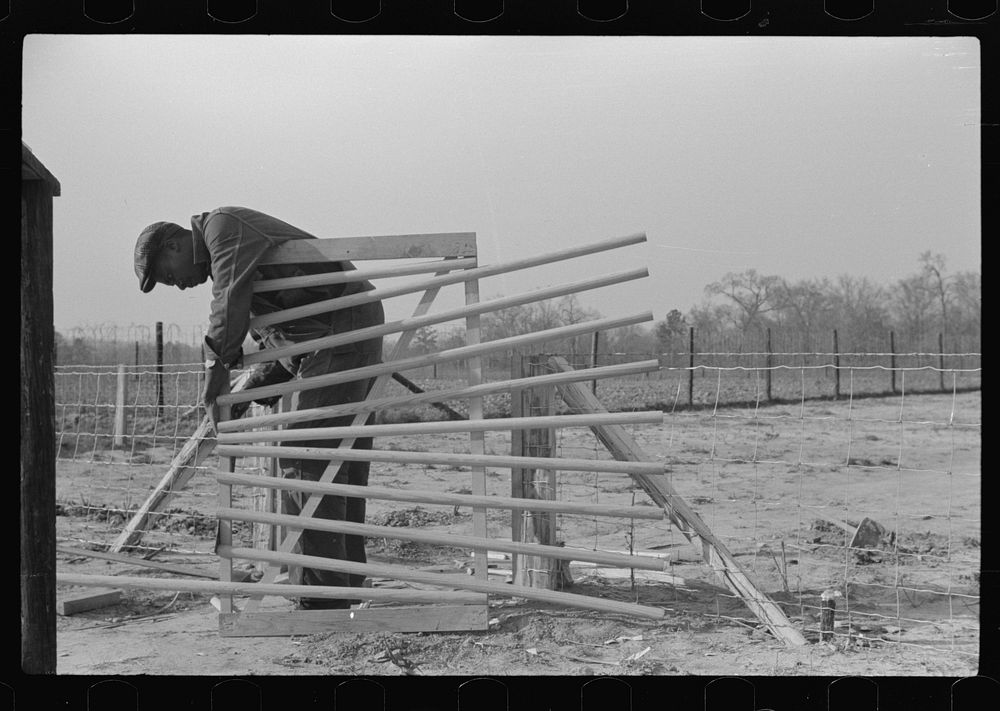 FSA (Farm Security Administration) borrower building a new gate for his yard. Prairie Farms, Montgomery, Alabama. Sourced…