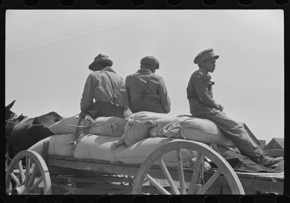  and his sons with his load of fertilizer, Social Circle, Georgia. Sourced from the Library of Congress.