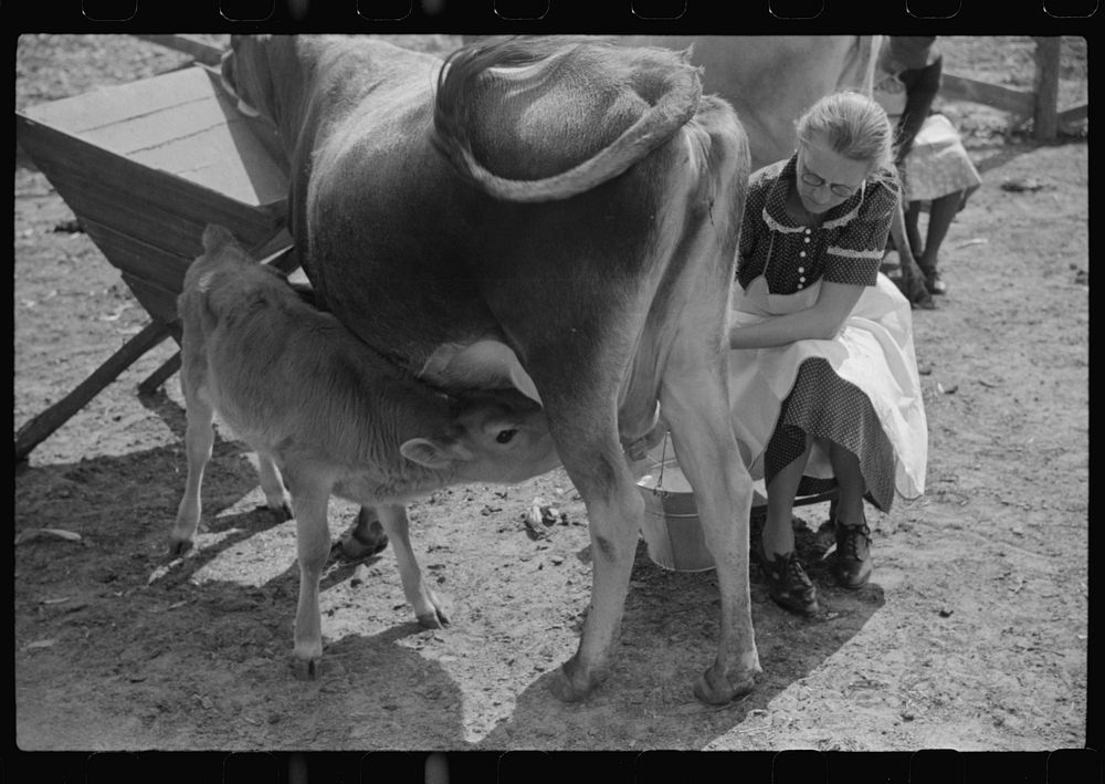 [Untitled photo, possibly related to: Mrs. Watkins, FSA (Farm Security Administration) borrower, Coffee County, Alabama, has…