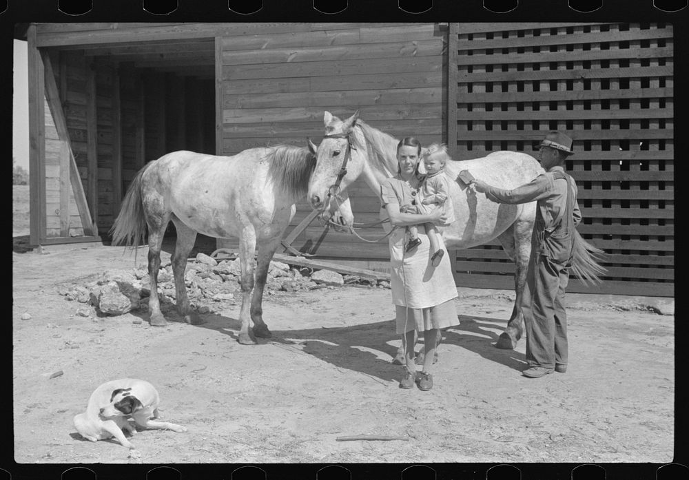 George Johnson's wife and her father, Mr. Scofield, and their two mares. Tenant purchase clients. Pike County, Alabama.…