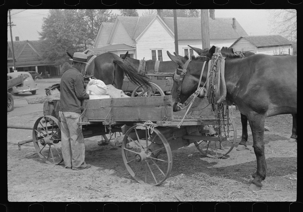 [Untitled photo, possibly related to: Farmer going home from town. Saturday afternoon, Enterprise, Alabama]. Sourced from…