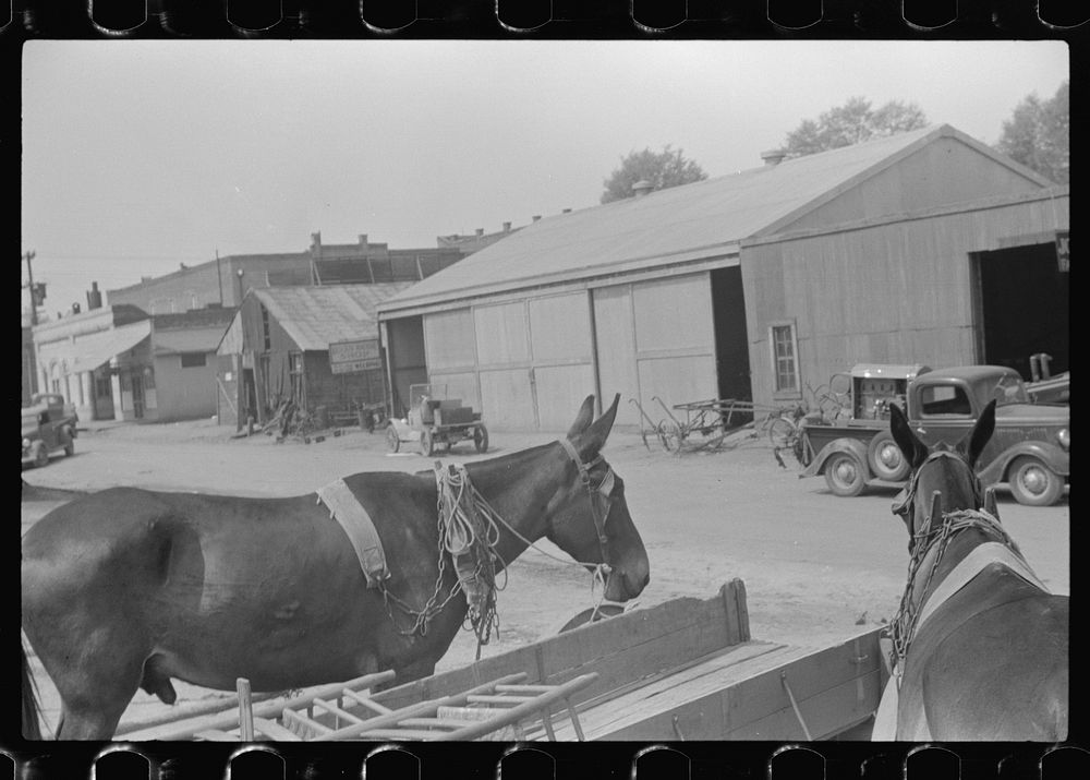 [Untitled photo, possibly related to: Farmer going home from town. Saturday afternoon, Enterprise, Alabama]. Sourced from…