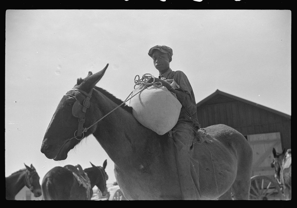 Son of one of project families bringing home meal ground from his corn in cooperative mill, Gees Bend, Alabama. Sourced from…