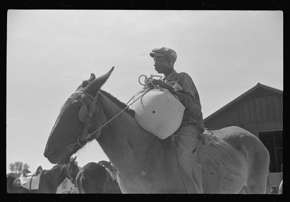 [Untitled photo, possibly related to: Son of one of project families bringing home meal ground from his corn in cooperative…
