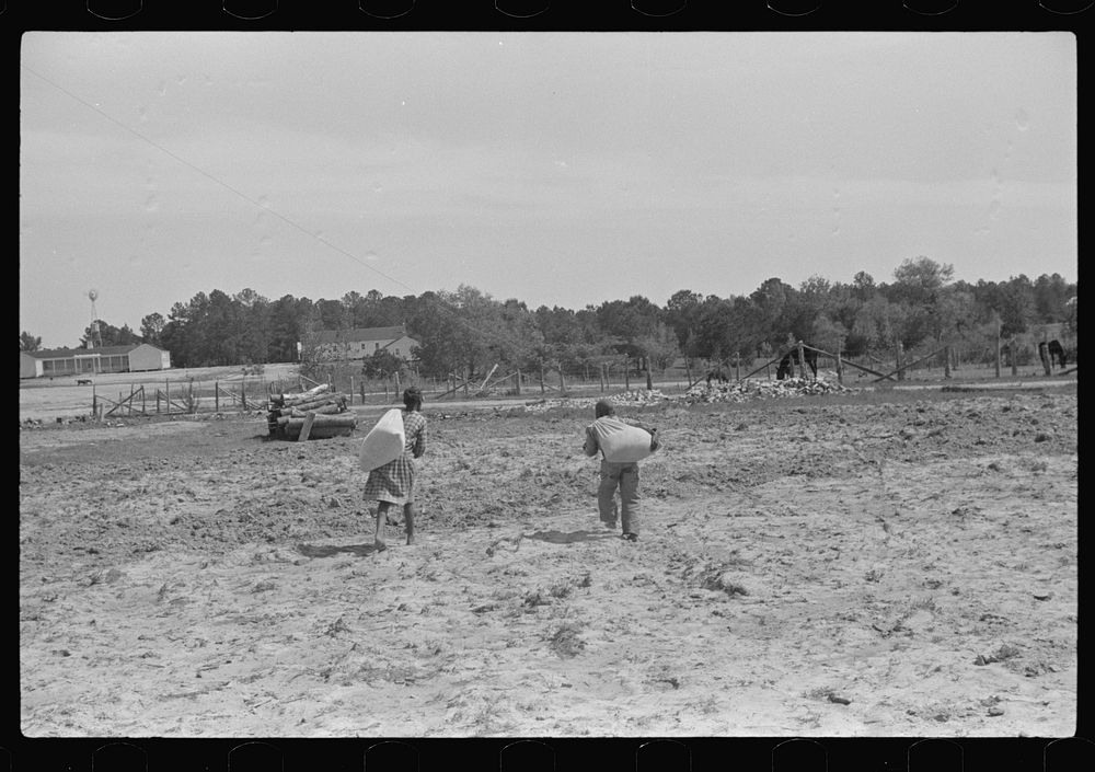 Two children of project families taking home the ground corn meal from the cooperative mill, Gees Bend, Alabama. Sourced…