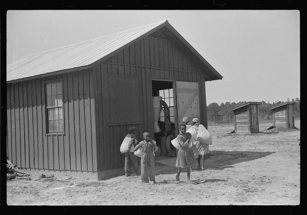 Children of project families bringing corn to cooperative mill and taking it home after grinding, Gees Bend, Alabama.…