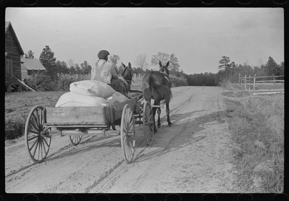 [Untitled photo, possibly related to: Bringing home meal from cooperative grist mill, Gees Bend, Alabama]. Sourced from the…