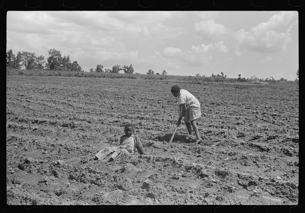 [Untitled photo, possibly related to: Fanny Lowe's family chopping cotton on Flint River Farms, Georgia]. Sourced from the…