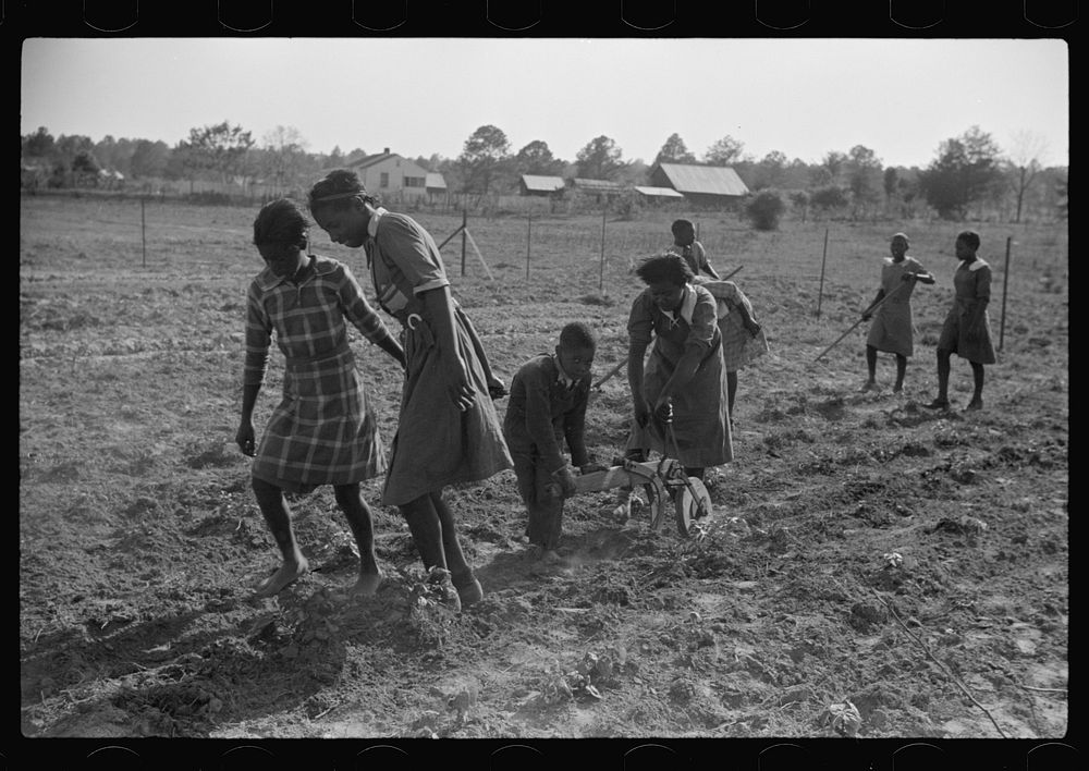 [Untitled photo, possibly related to: Behind the homemade plow in the school garden, Gees Bend, Alabama]. Sourced from the…