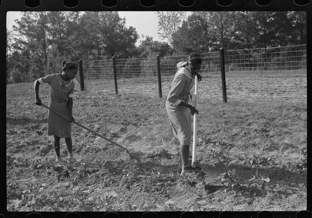 [Untitled photo, possibly related to: Working in school garden, Gees Bend, Alabama]. Sourced from the Library of Congress.