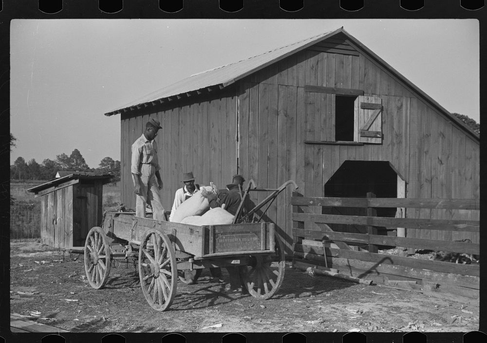 Fertilizer for Nolan Pettway, Gees Bend, Alabama. Sourced from the Library of Congress.