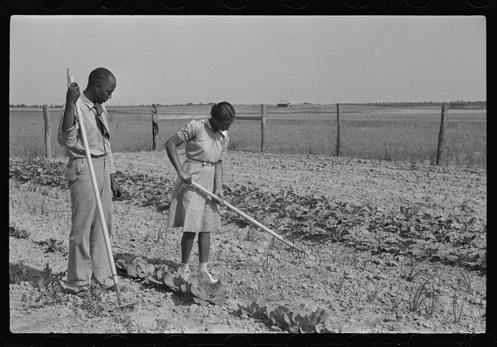 [Untitled photo, possibly related to: School principal helping student in school garden, Flint River Farms, Georgia].…