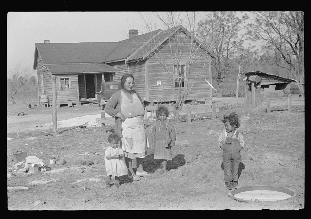[Untitled photo, possibly related to: Mixed-breed Indian family, white and , looking at location for new farmhouse near…