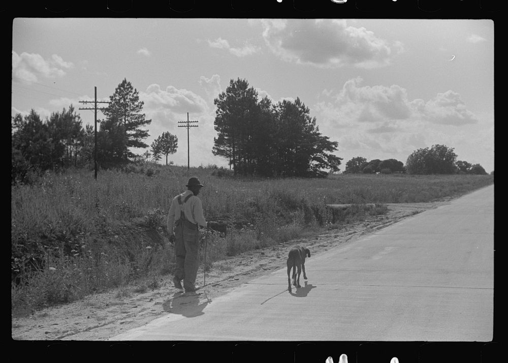 Along highway near Manning, Clarendon County, South Carolina. Sourced from the Library of Congress.