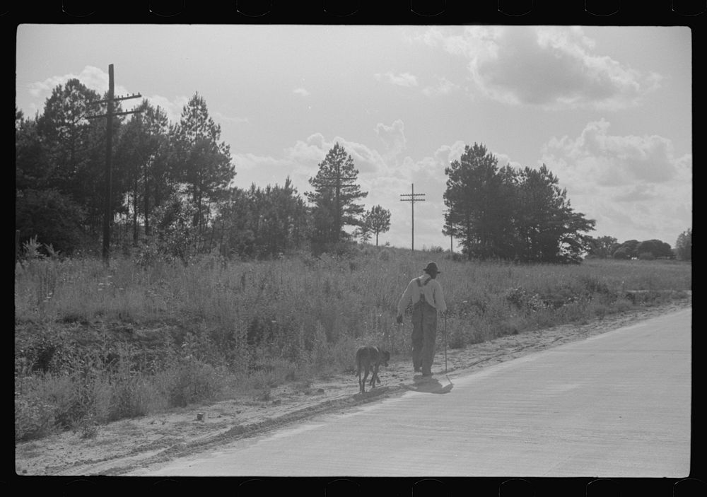 [Untitled photo, possibly related to: Along highway near Manning, Clarendon County, South Carolina]. Sourced from the…