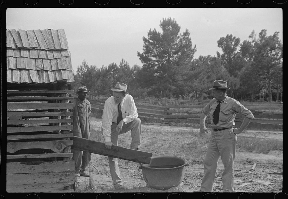 [Untitled photo, possibly related to: FSA (Farm Security Administration) supervisors with rehabilitation borrower, Greene…