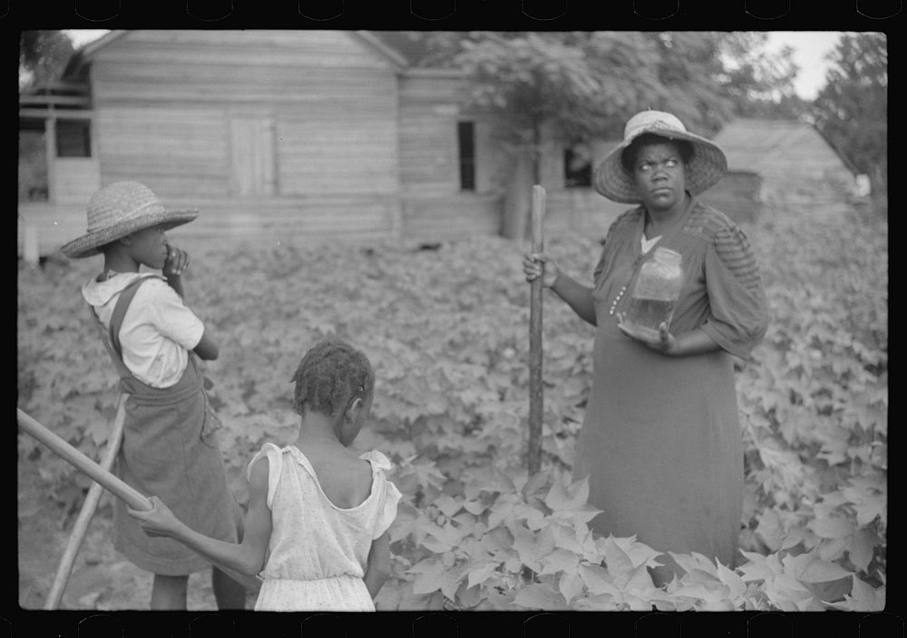 [Untitled photo, possibly related to: Two of Pauline Clyburn's children, rehabilitation borrowers, Manning, Clarendon…