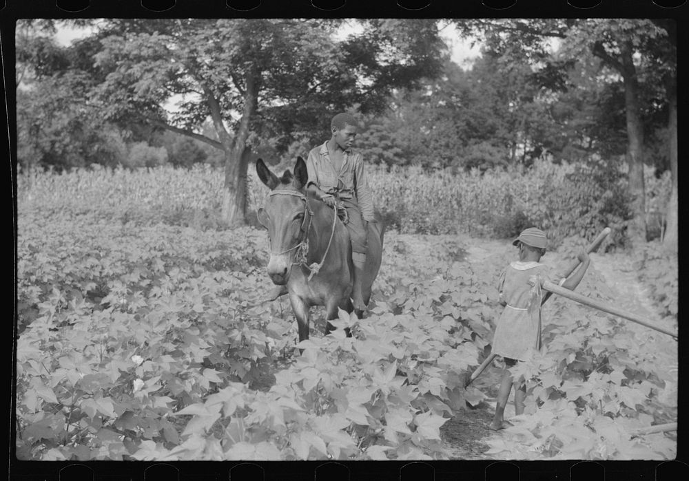 Two of Pauline Clyburn's children, rehabilitation borrowers, Manning, Clarendon County, South Carolina. Sourced from the…