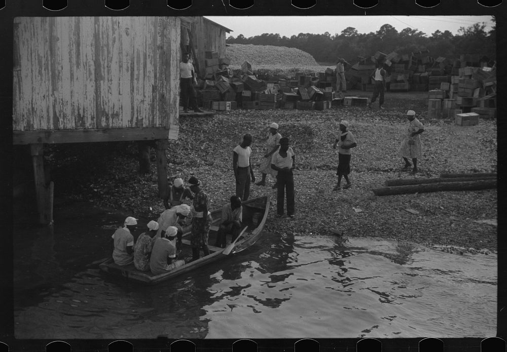 [Untitled photo, possibly related to: Cannery workers going home, St. Helena Island, South Carolina]. Sourced from the…
