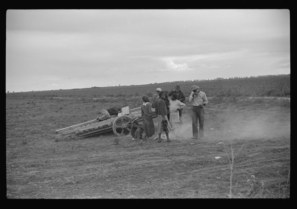 Vegetable pickers, migrants, waiting after work to be paid. Near Homestead, Florida. Sourced from the Library of Congress.