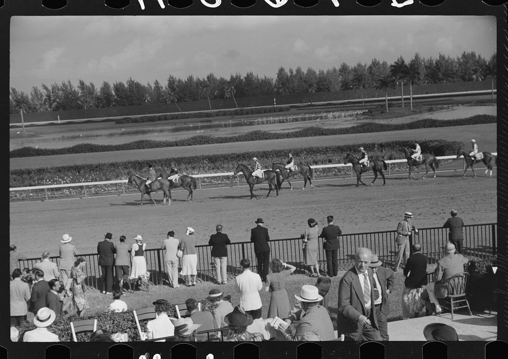 Horse races, Hialeah Park, Miami, Florida. Sourced from the Library of Congress.