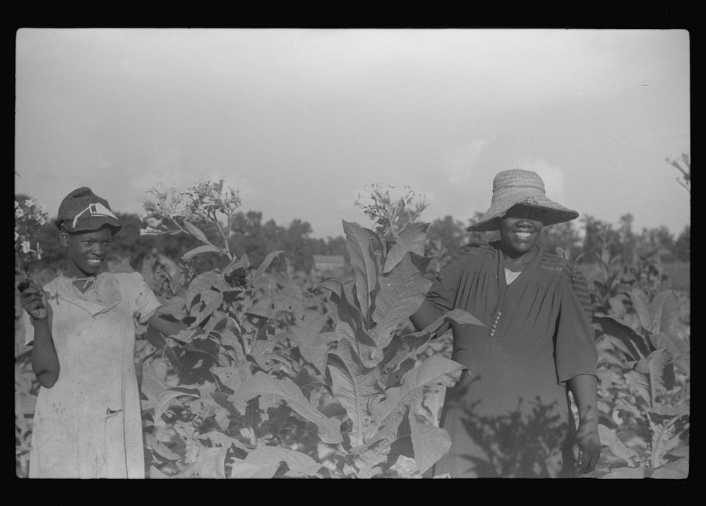 [Untitled photo, possibly related to: Pauline Clyburn's children, rehabilitation borrowers, coming out of field, Manning…