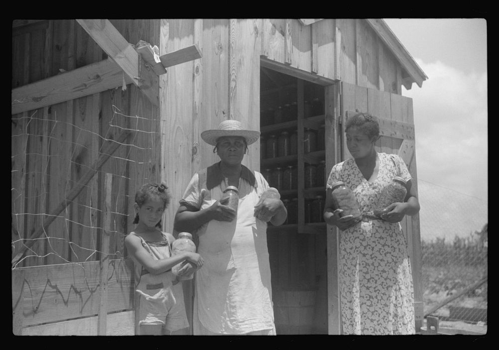 [Untitled photo, possibly related to: Children of Frederick Oliver, tenant purchase borrower, picking squares in cotton…