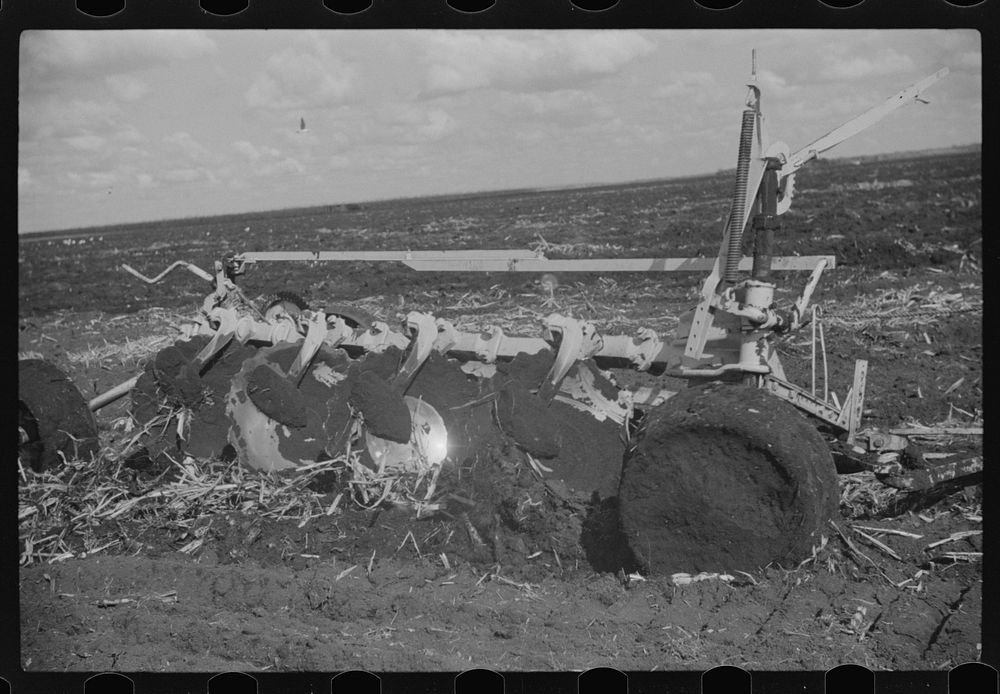 [Untitled photo, possibly related to: Discing the  mulch land before planting sugarcane for United States Sugar Corporation…